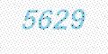 کد امنیتی